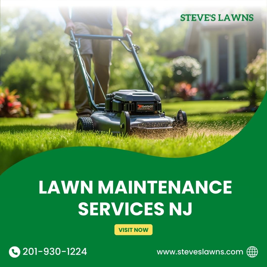 Expert Lawn Maintenance Services Nj: Keep Your Lawn Green And Pristine